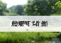 和平精英是一款什么游戏？