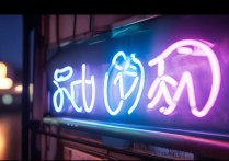 消逝的光芒卡