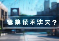 和平精英怎么免费下载安装？