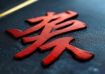 王者荣耀logo