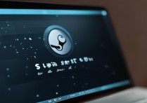 steam游戏打不开