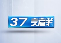 37手游官网下载
