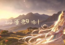 七七原神