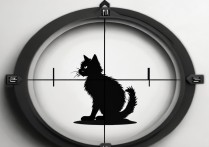 无畏契约小猫准星