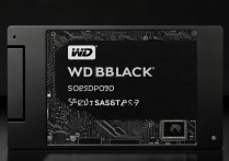 WD_BLACK SN8100 固态硬盘评测