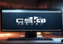 csgo打不开