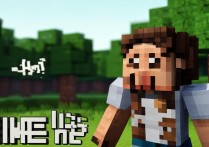我的世界 him 是什么？
