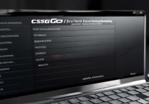 csgo启动项