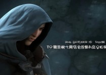 王者荣耀如何隐身上线