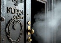 steam进不去