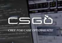 csgo免费开箱网站
