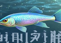 星露谷物语青花鱼