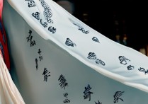 逆水寒时装