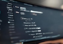 csgo启动选项