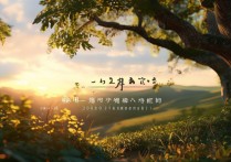 消逝的光芒2下载