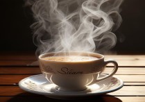 steam是什么意思