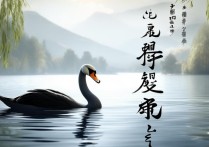 燕云十六声燕无归