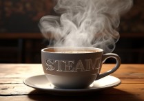 steam什么意思