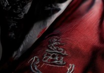 刺客信条兄弟会披风